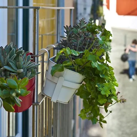 Apartmán Duque's