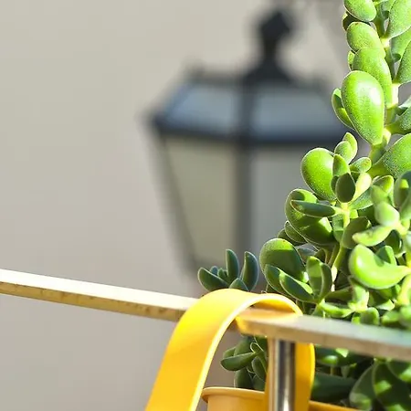 Appartamento Duque's *